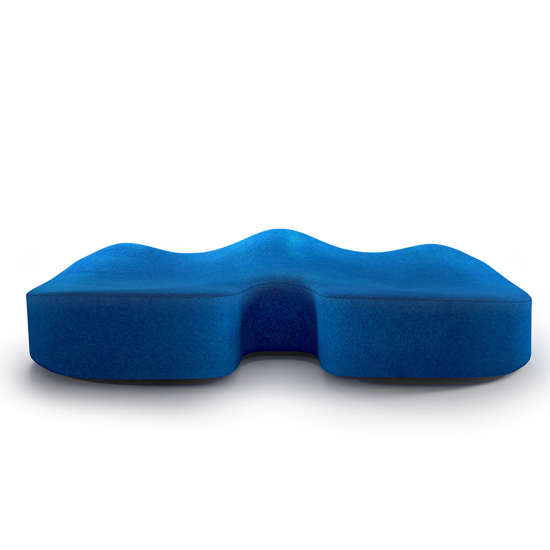 Coccyx Cushion– Master MoltyFoam