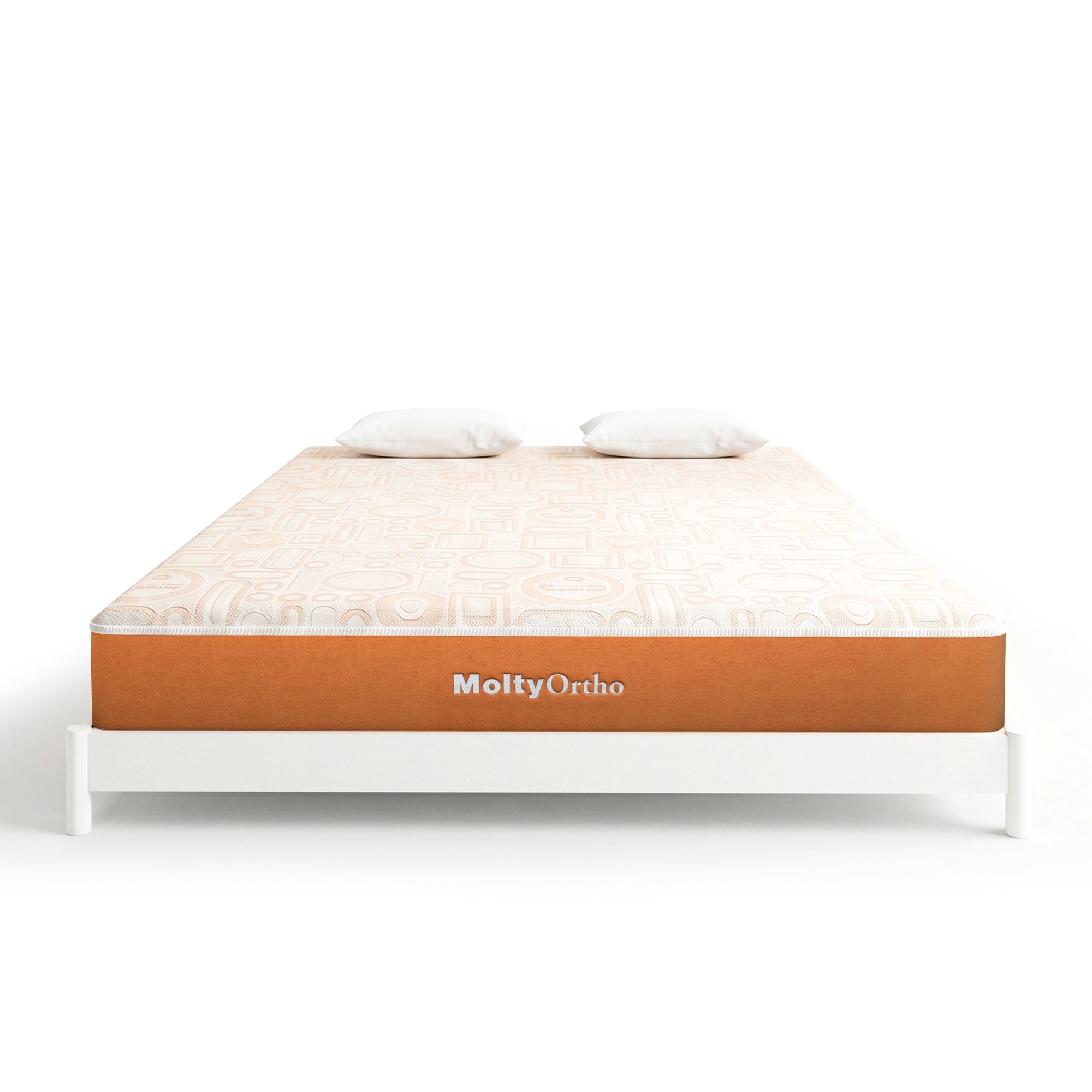 MoltyOrtho