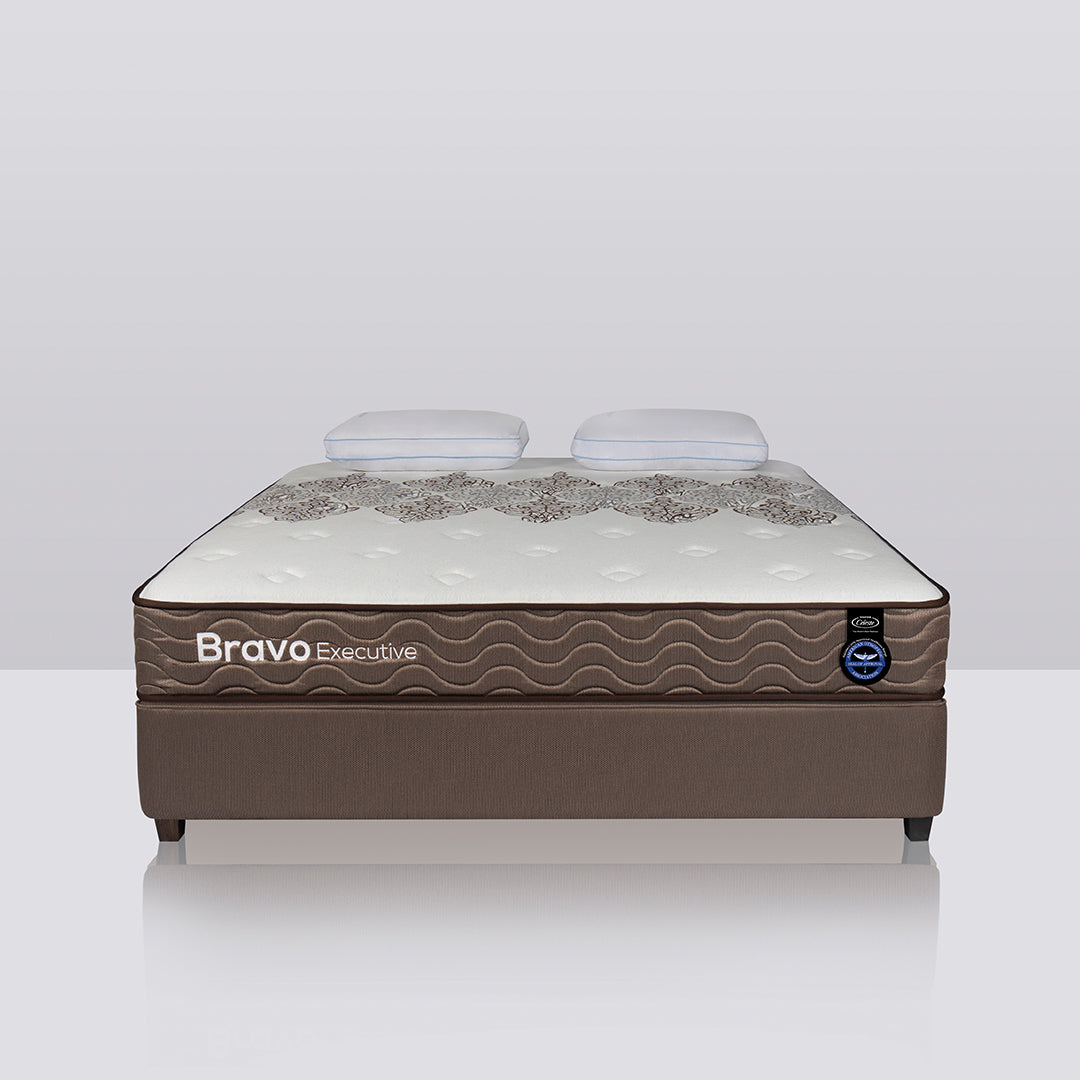 Best Spring Mattress by Master Celeste Bravo Executive 2in1 Master MoltyFoam