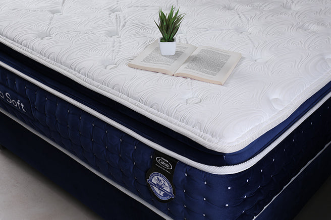 Master Crest Spring Curious About Celeste Spring Mattresses? Your Complete Guide Awaits ...