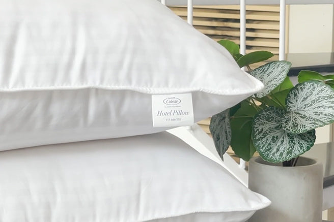 Sleep Like Royalty with the Best Pillow from Master Celeste