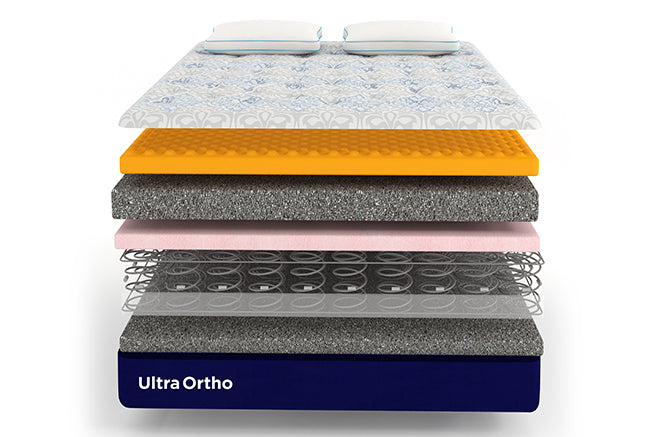 A Comprehensive Review of Orthopedic Excellence: Celeste Ultra Ortho