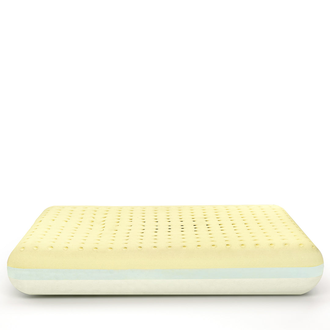 MoltyMemory 2in1 Pillow