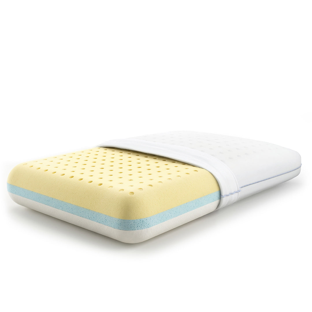 MoltyMemory 2in1 Pillow