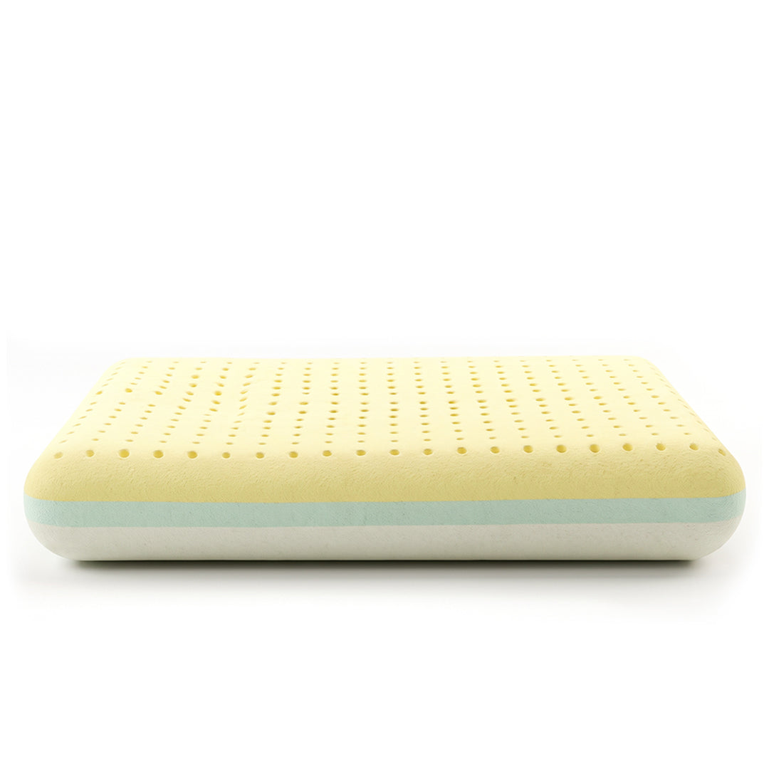 MoltyMemory 2in1 Pillow