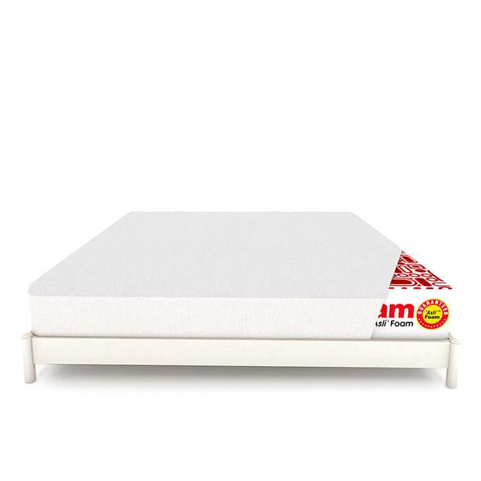 Master molty shop foam near me